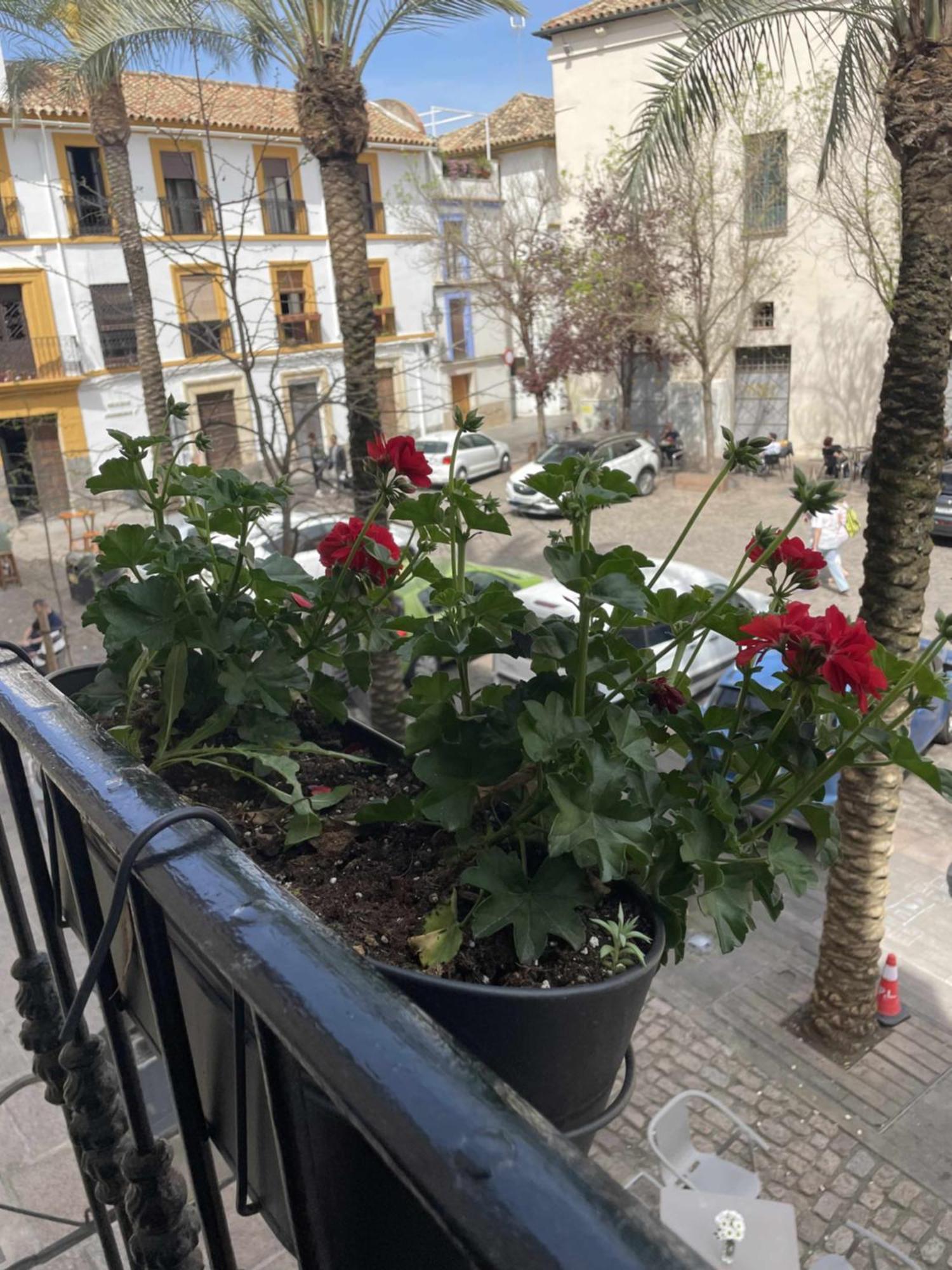 Apartamento Centrico Corredera Córdoba Buitenkant foto